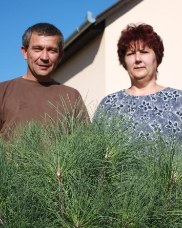 A nyertes1 fényképe