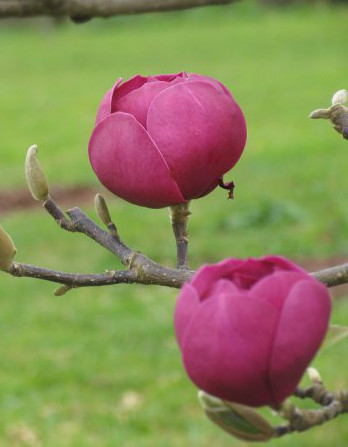 A nyertes1 fényképe