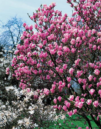 A nyertes1 fényképe